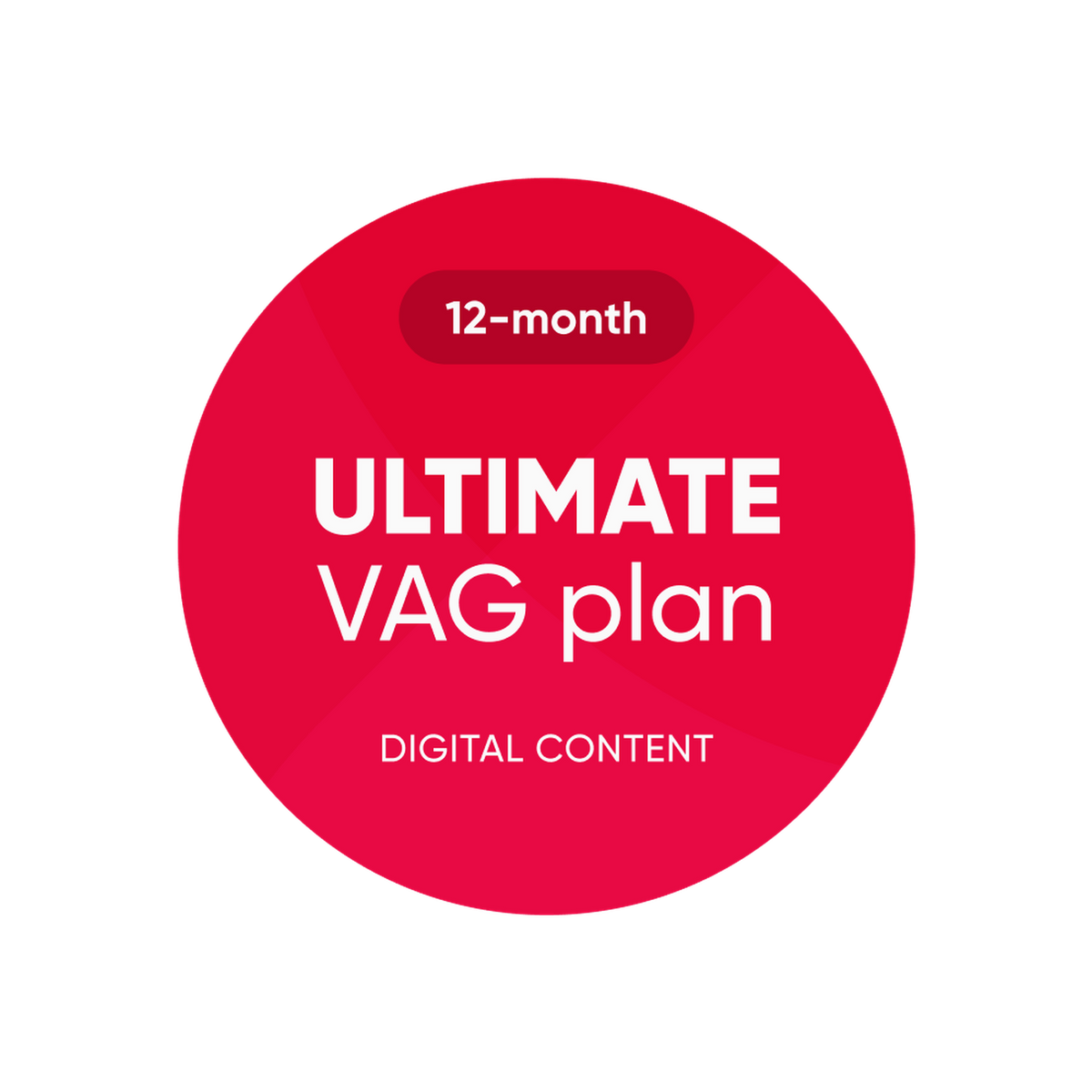 OBDeleven | Ultimate VAG Plan | Programinės įrangos licencija