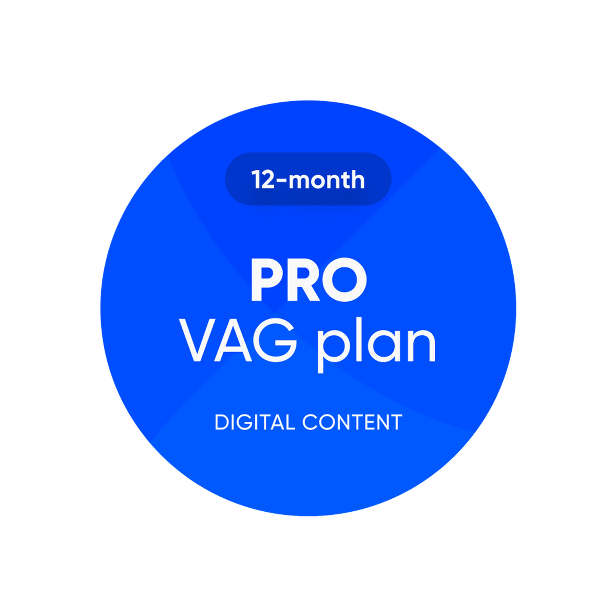 OBDeleven | Pro VAG Plan | Programinės įrangos licencija